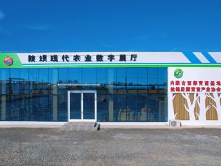 內(nèi)蒙古西部育苗基地